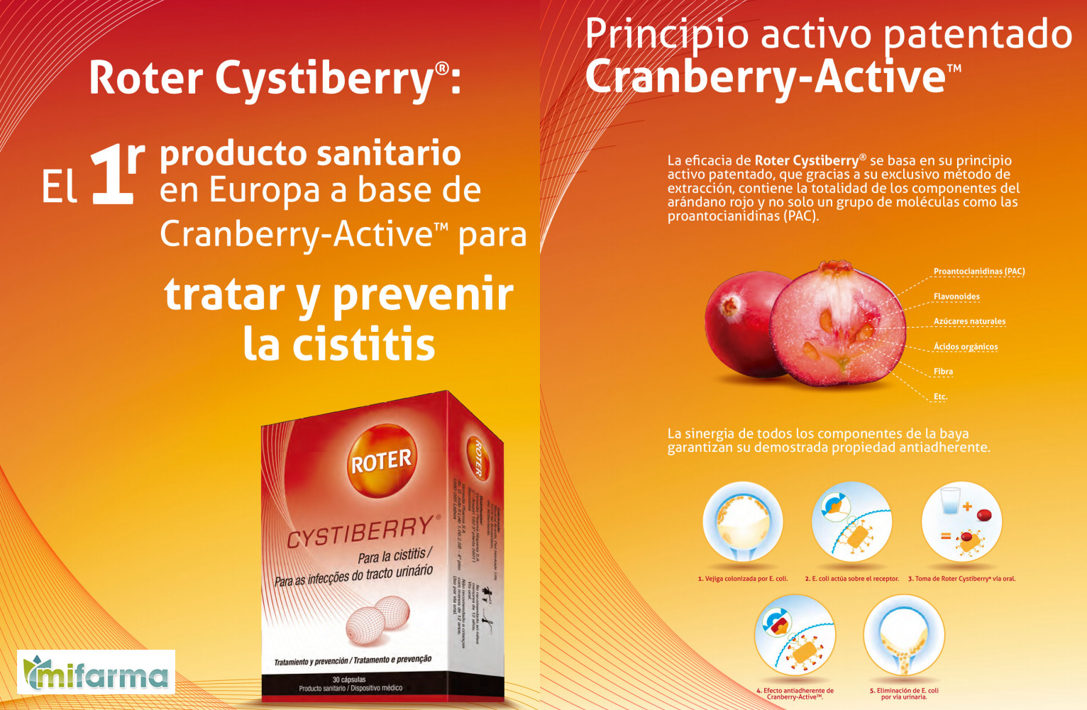 roter-cystiberry