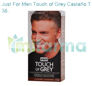 just-for-men-touch-of-grey-castano-t-45-canas