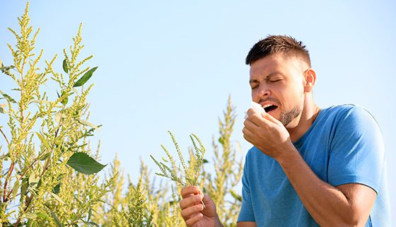 alergia al polen tratamientos remedios caseros