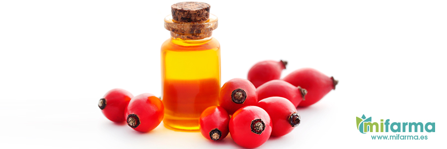 Propiedades y beneficios del aceite de rosa mosqueta