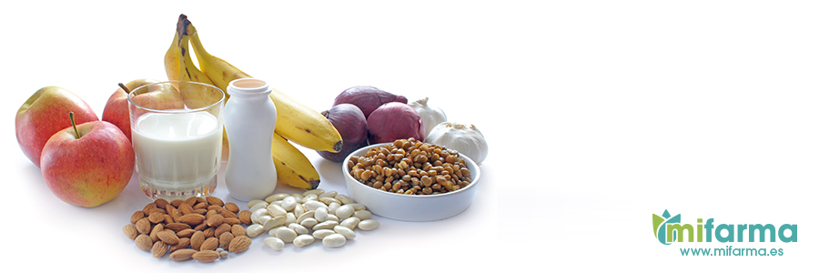 dieta y alimentos probioticos