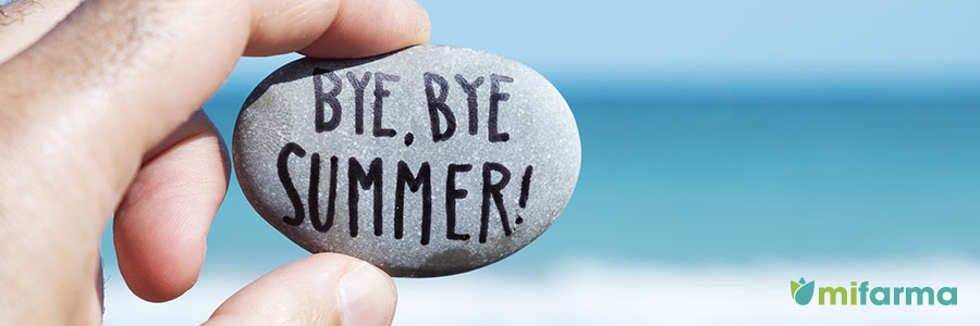 mitos vacaciones de verano